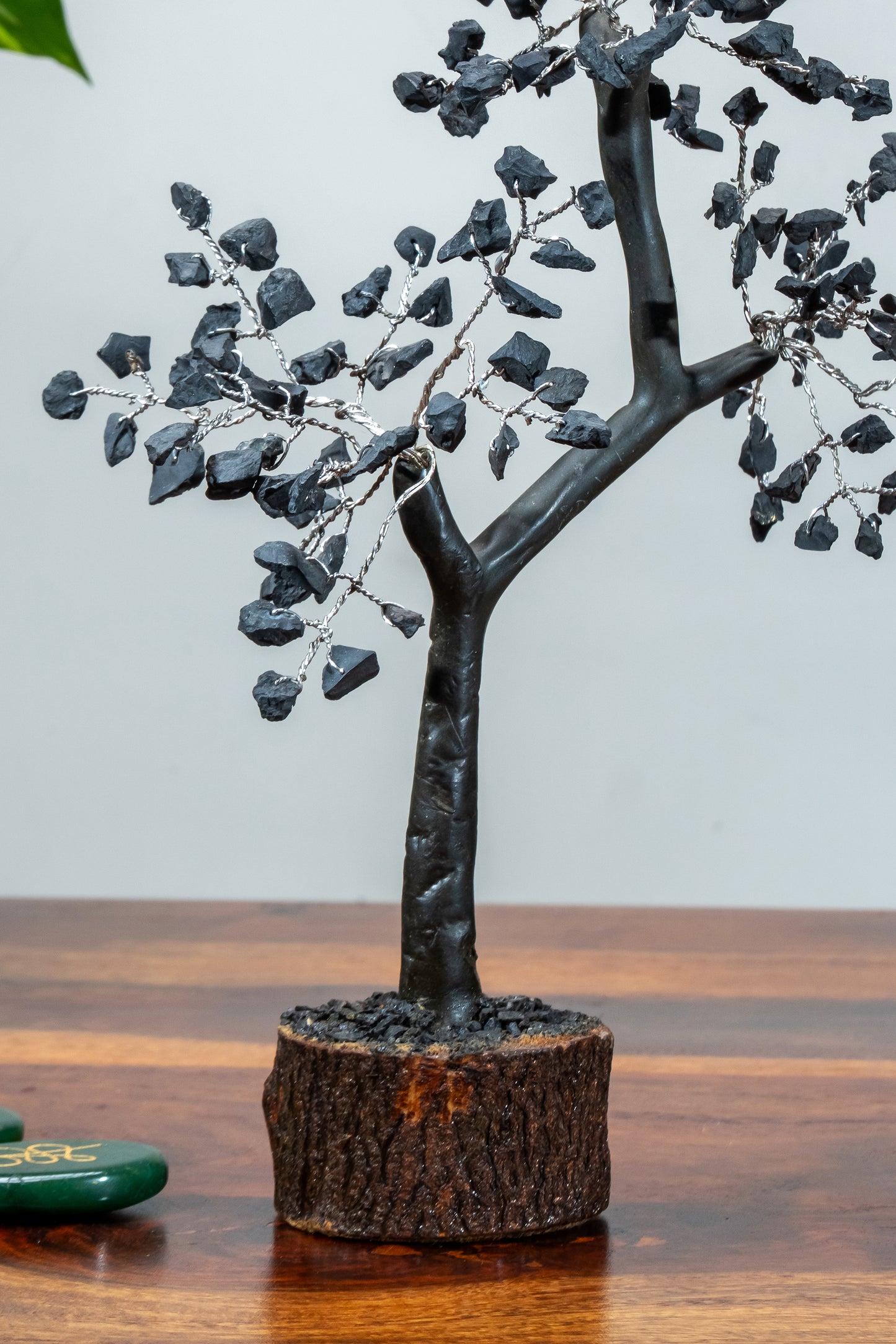 Negativity Removal – Black Tourmaline Tree of Life
