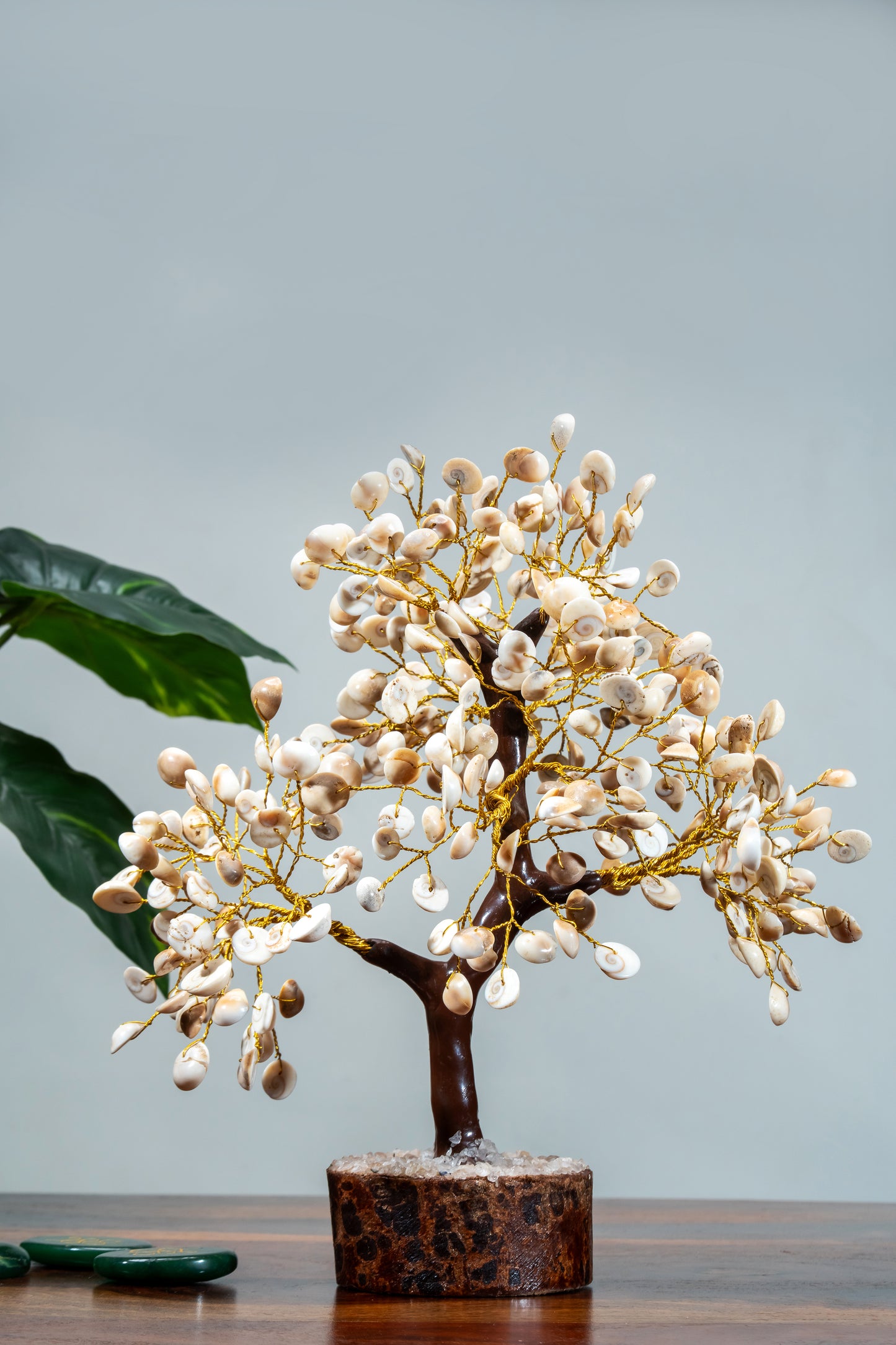 Gomti Wishing Tree – For Luck, Protection & Prosperity