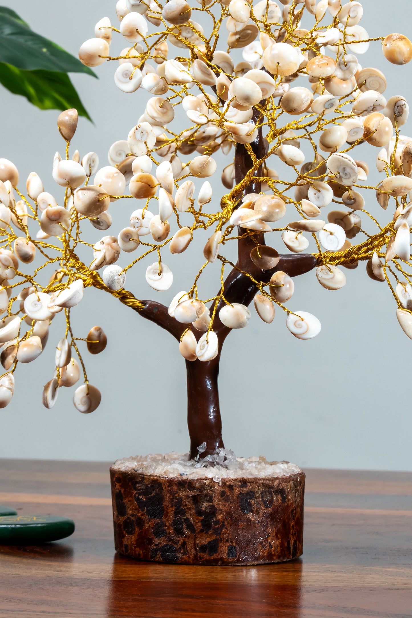 Gomti Wishing Tree – For Luck, Protection & Prosperity