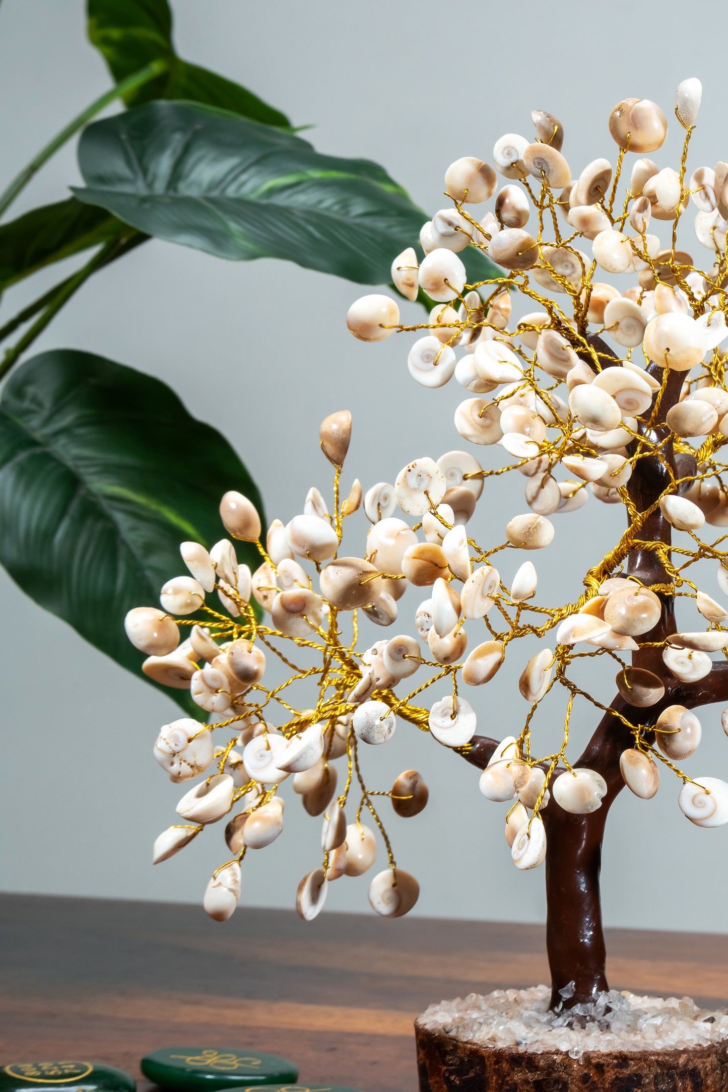 Gomti Wishing Tree – For Luck, Protection & Prosperity