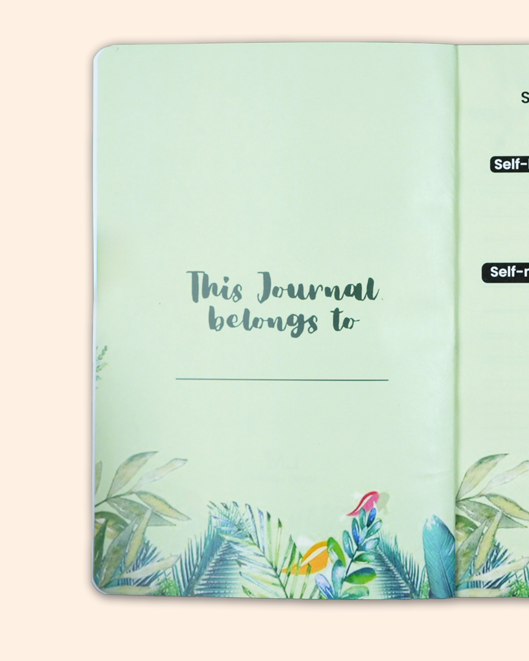 Radiant Soul – 21 Day Journal