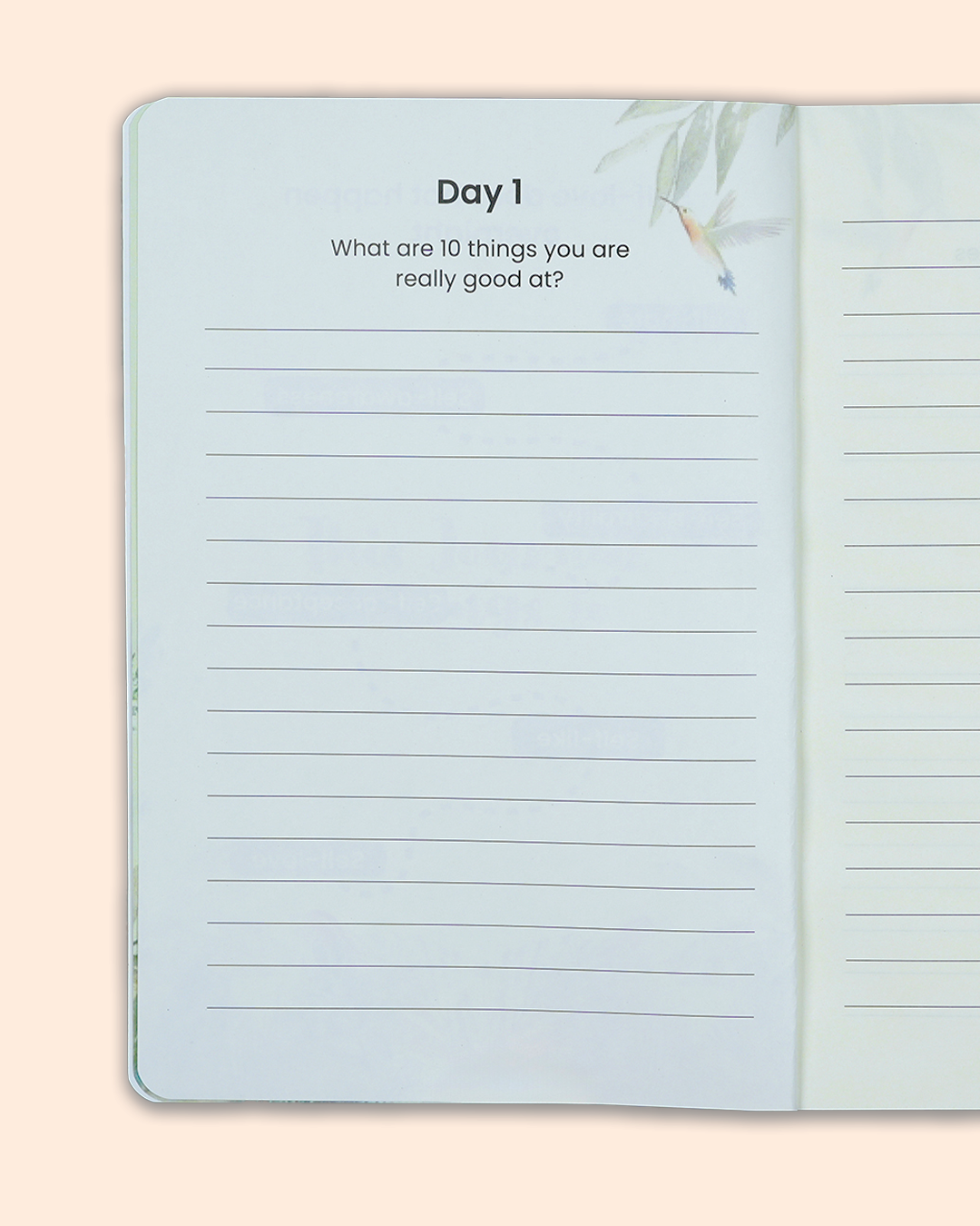 Radiant Soul – 21 Day Journal