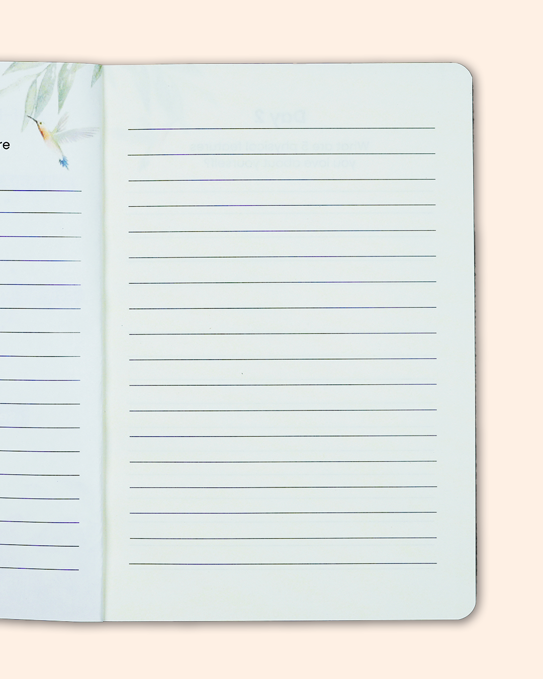 Radiant Soul – 21 Day Journal