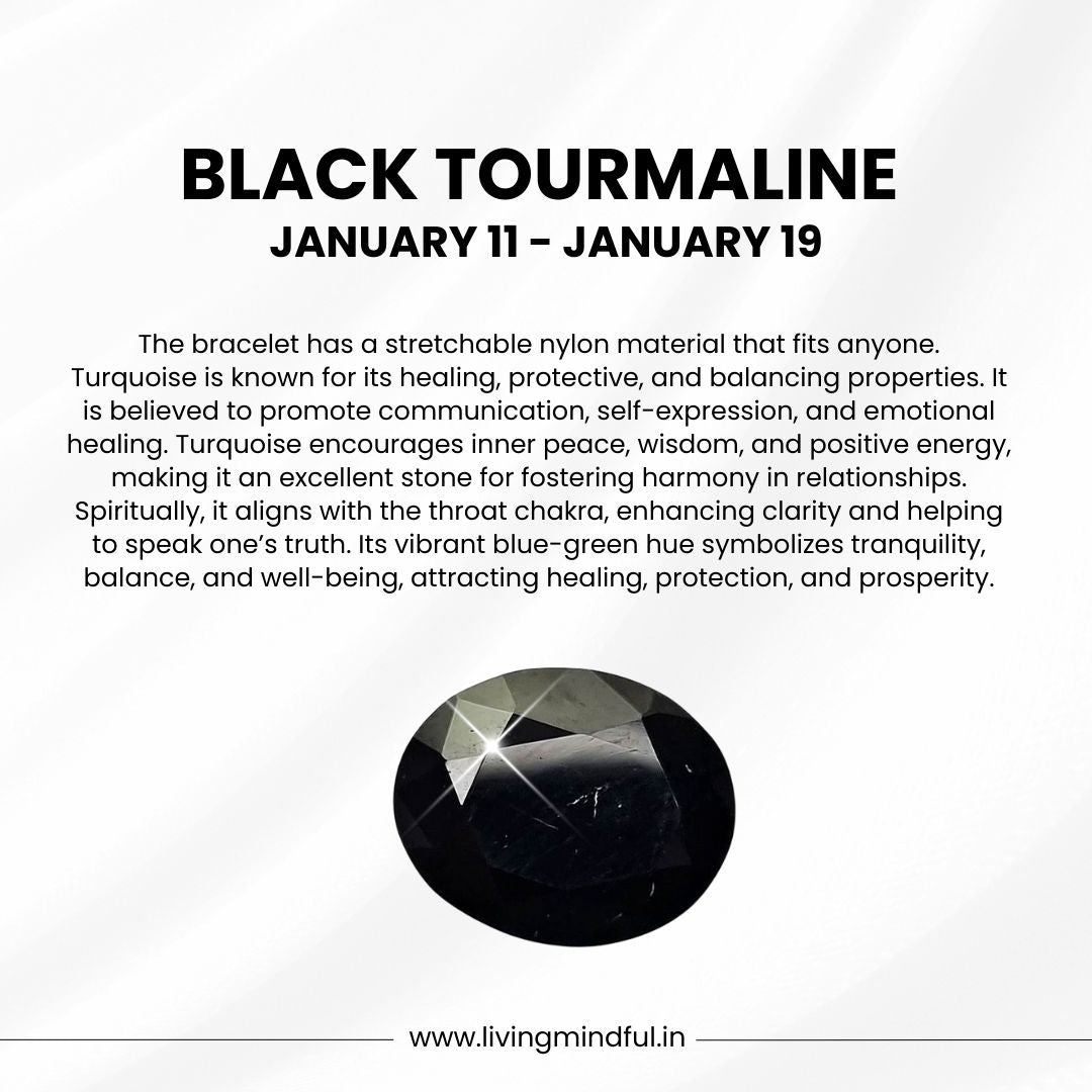 Black Tourmaline – Capricon (January 11 – January 19)
