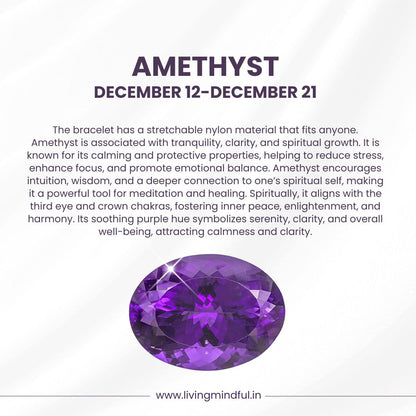 Amethyst – Sagittarius (Dec 12-Dec 21)