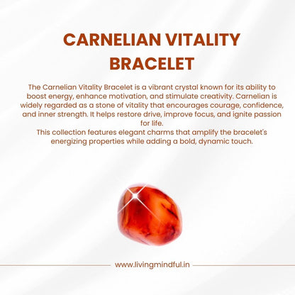 Carnelian Bracelet - Focus