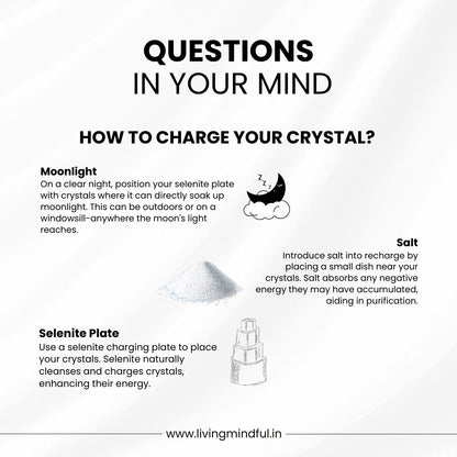 Protection & Grounding Bracelet