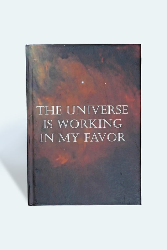 The Visionary Diary
